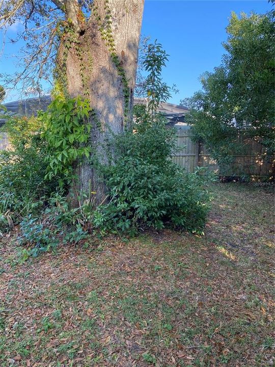 For Sale: $349,000 (4 beds, 2 baths, 1242 Square Feet)