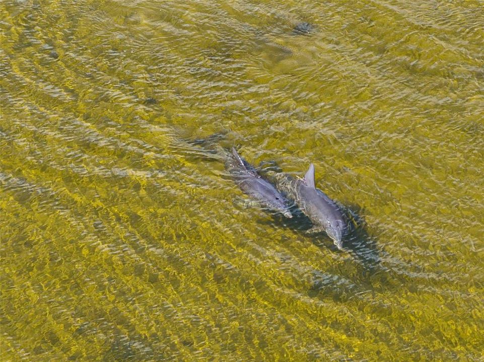 En Venta: $295,000 (0.18 acres)