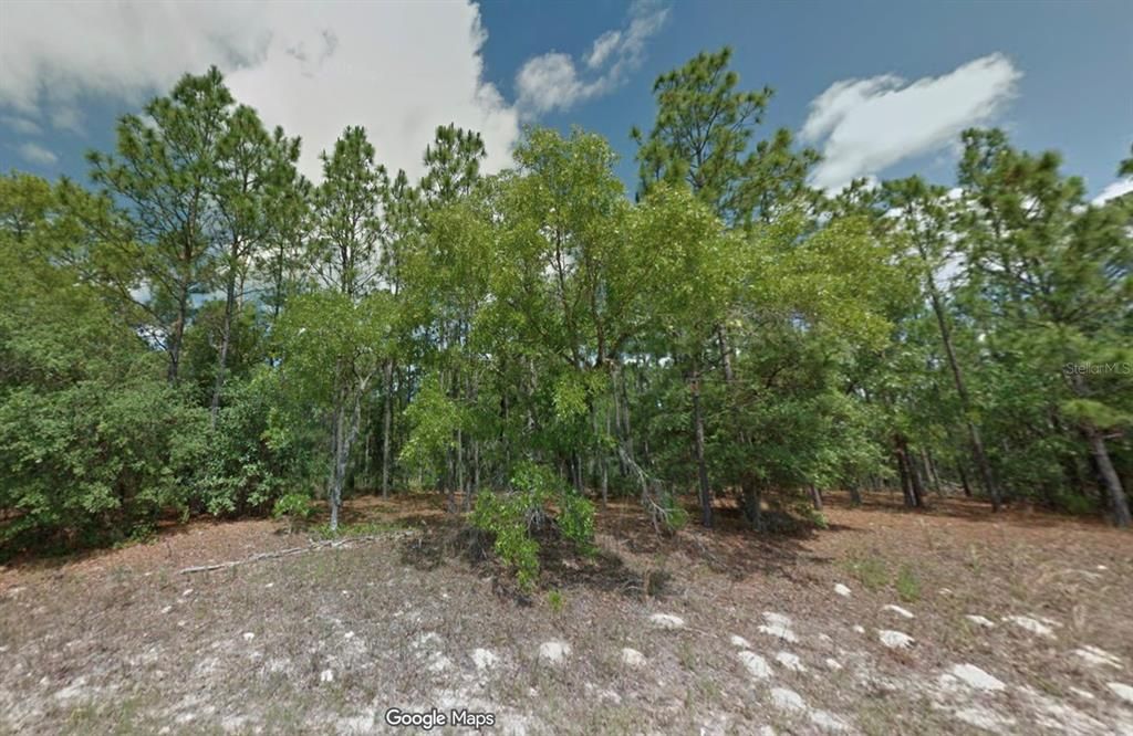 For Sale: $22,500 (0.23 acres)