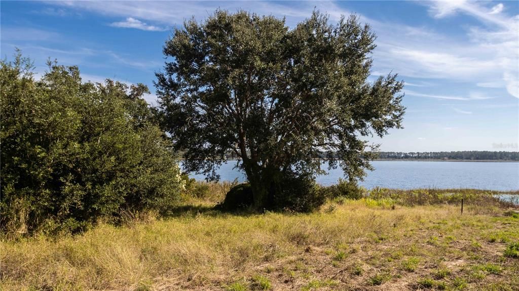 En Venta: $550,000 (3.13 acres)