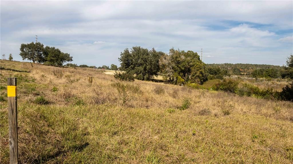 En Venta: $550,000 (3.13 acres)