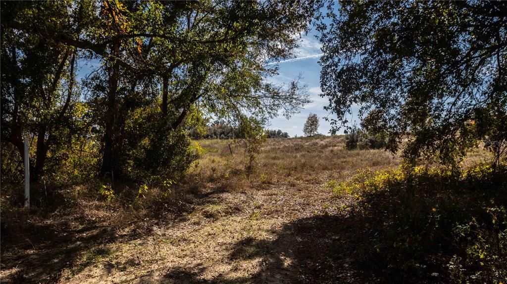 En Venta: $550,000 (3.13 acres)