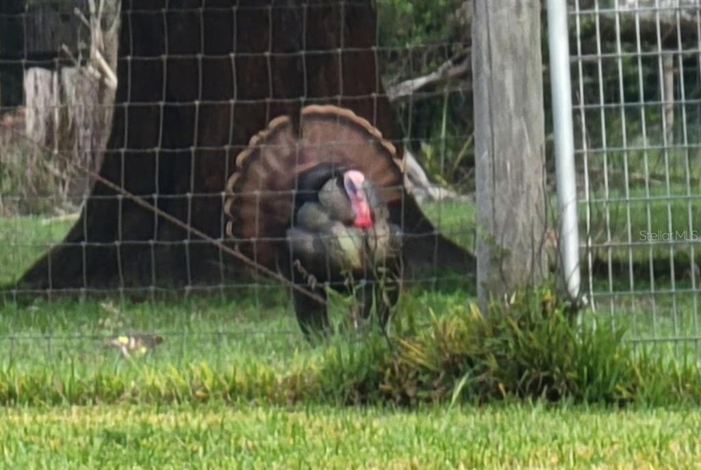 На продажу: $1,125,000 (3 спален, 2 ванн, 2257 Квадратных фут)