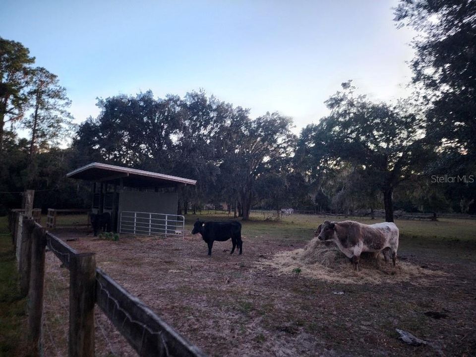 На продажу: $1,125,000 (3 спален, 2 ванн, 2257 Квадратных фут)