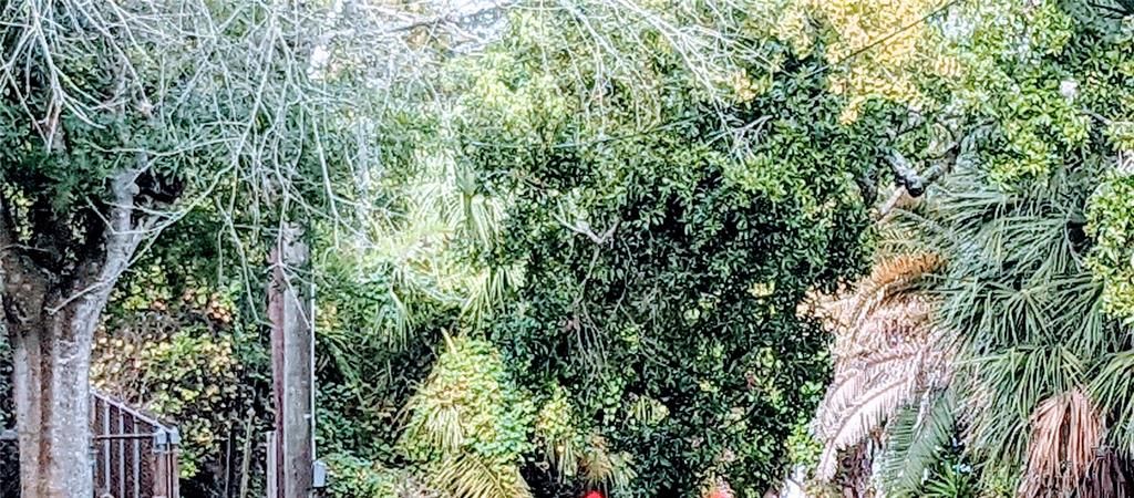 В аренду: $2,500 (2 спален, 2 ванн, 1409 Квадратных фут)