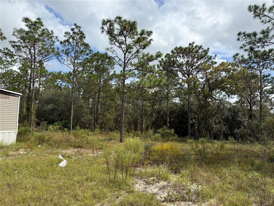 For Sale: $135,000 (5.00 acres)