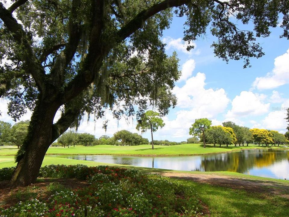 待售: $325,000 (2 贝兹, 2 浴室, 1794 平方英尺)