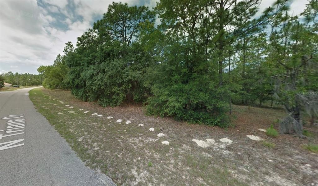 待售: $22,500 (0.23 acres)