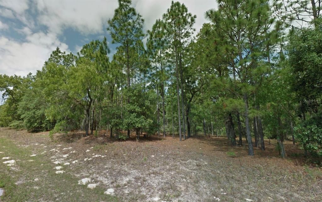 待售: $22,500 (0.23 acres)