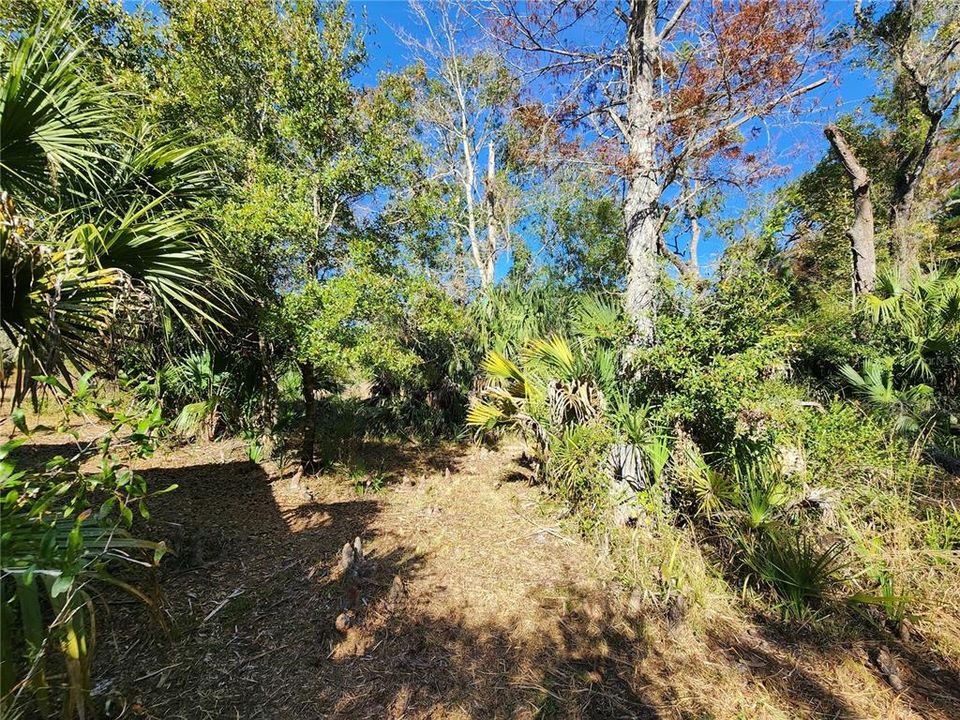 待售: $125,000 (2 贝兹, 1 浴室, 1008 平方英尺)