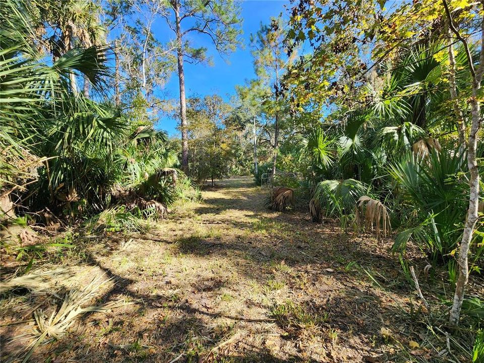 待售: $125,000 (2 贝兹, 1 浴室, 1008 平方英尺)