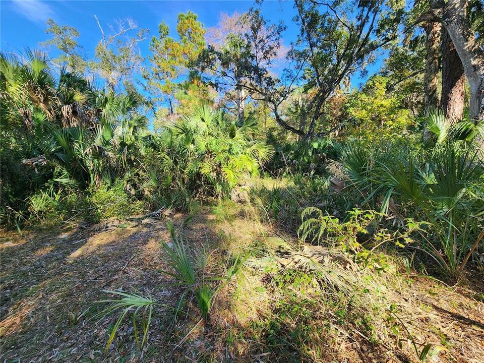 待售: $125,000 (2 贝兹, 1 浴室, 1008 平方英尺)