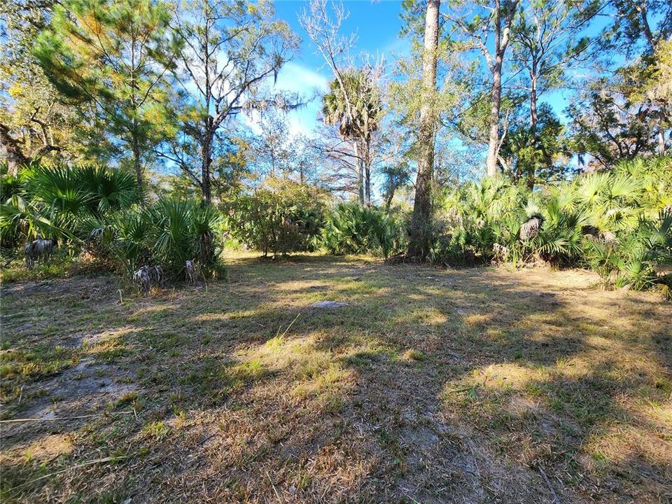 待售: $125,000 (2 贝兹, 1 浴室, 1008 平方英尺)