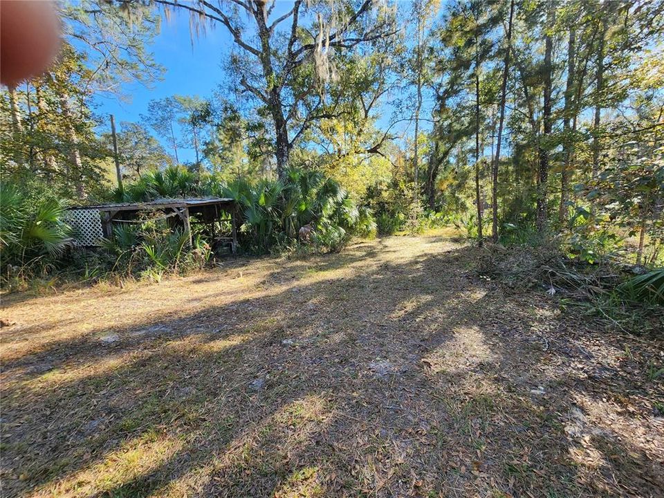 待售: $125,000 (2 贝兹, 1 浴室, 1008 平方英尺)