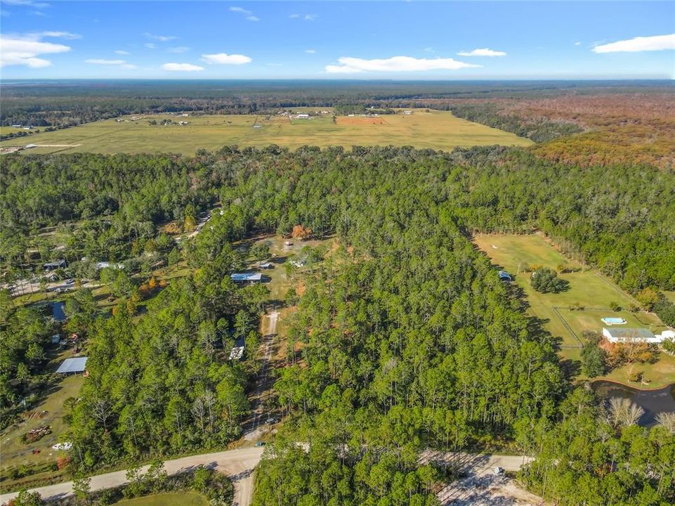 待售: $850,000 (3 贝兹, 3 浴室, 1668 平方英尺)