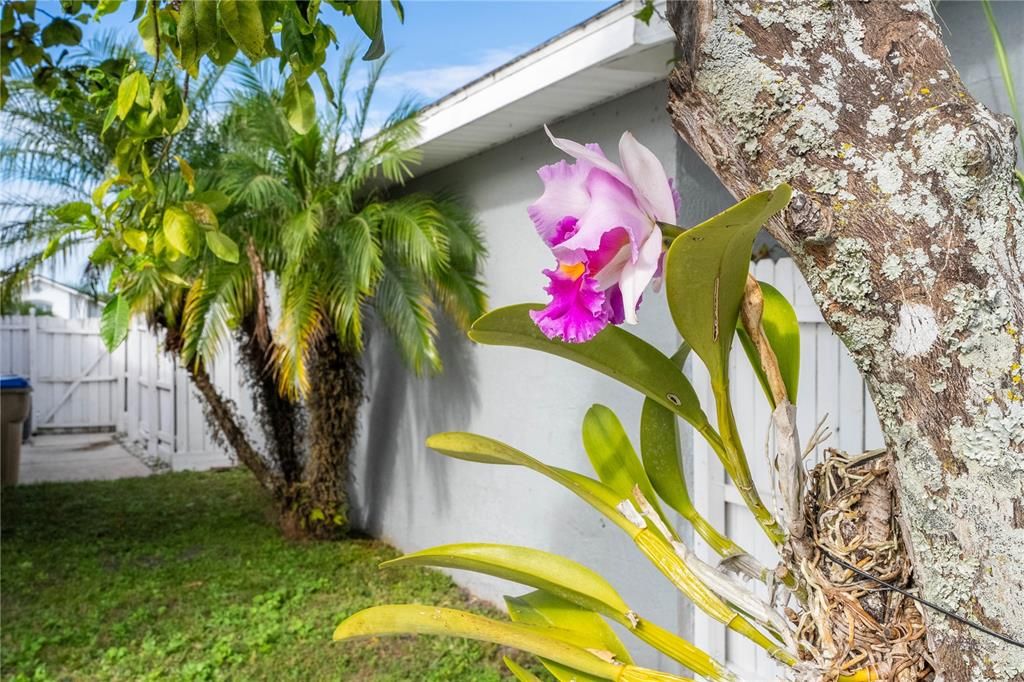 En Venta: $339,000 (3 camas, 2 baños, 1392 Pies cuadrados)