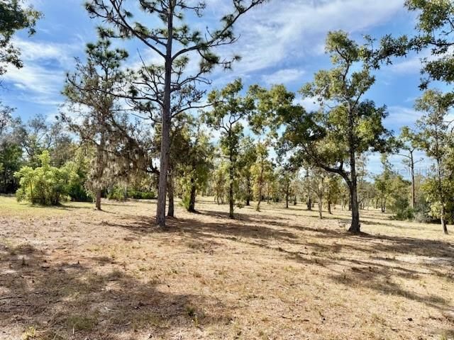 For Sale: $180,000 (2.50 acres)