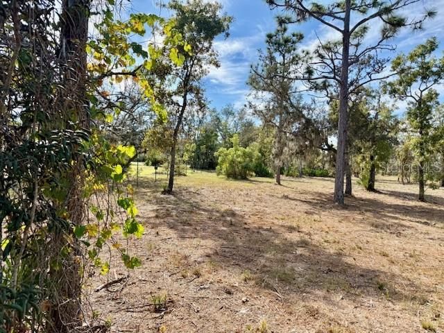 For Sale: $180,000 (2.50 acres)