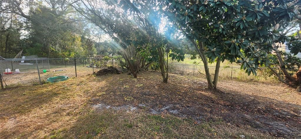 待售: $330,000 (3 贝兹, 2 浴室, 1664 平方英尺)