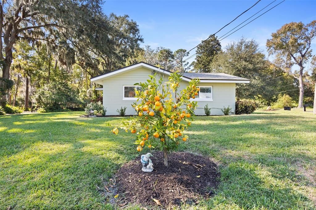 待售: $450,000 (2 贝兹, 2 浴室, 1589 平方英尺)