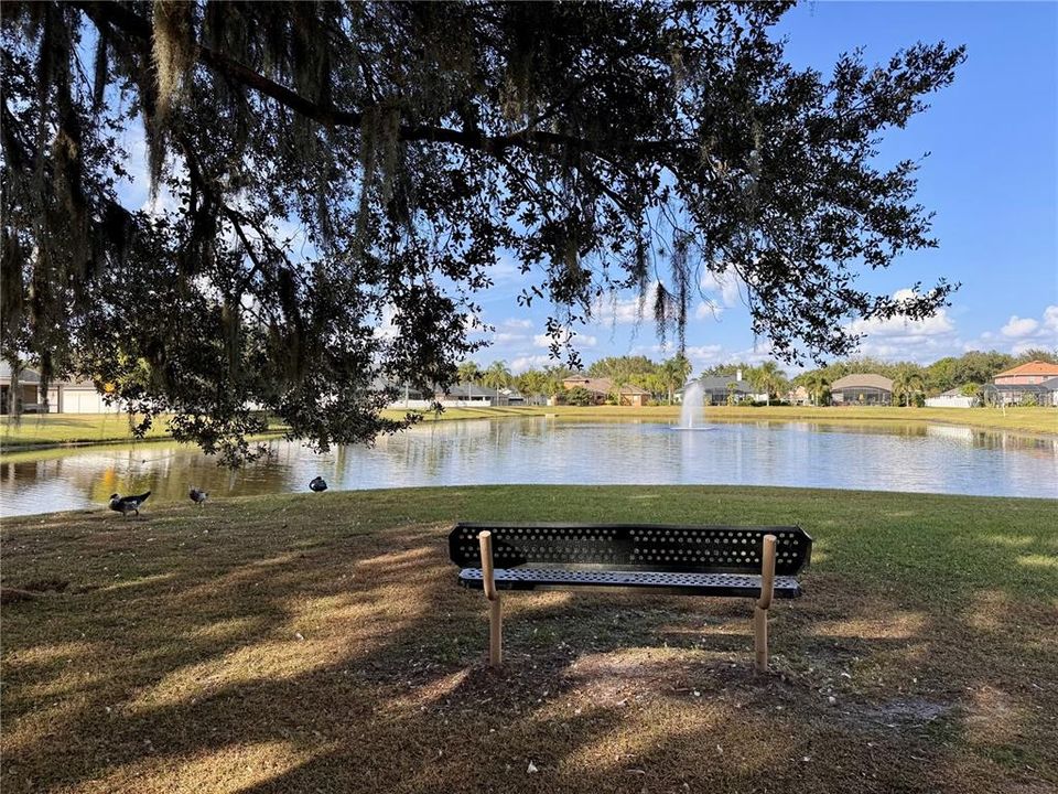 待售: $389,900 (3 贝兹, 2 浴室, 2006 平方英尺)