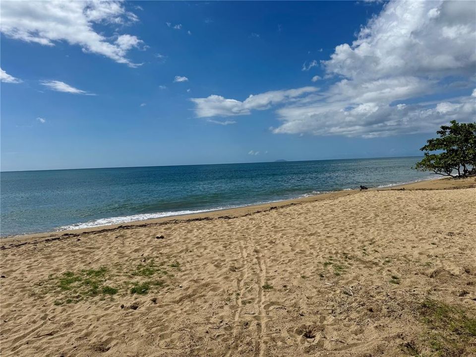 For Rent: $1,800 (2 beds, 2 baths, 1183 Square Feet)