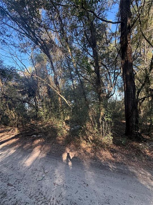 For Sale: $30,000 (0.24 acres)