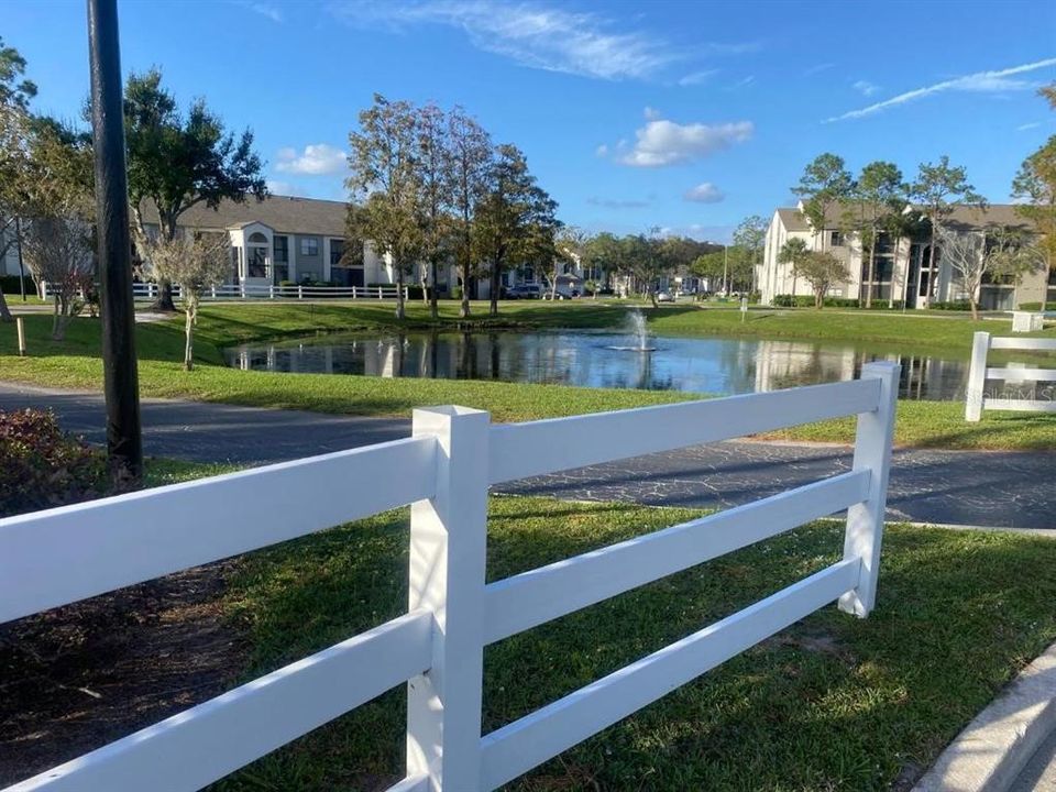 出租: $1,650 (2 贝兹, 2 浴室, 1042 平方英尺)