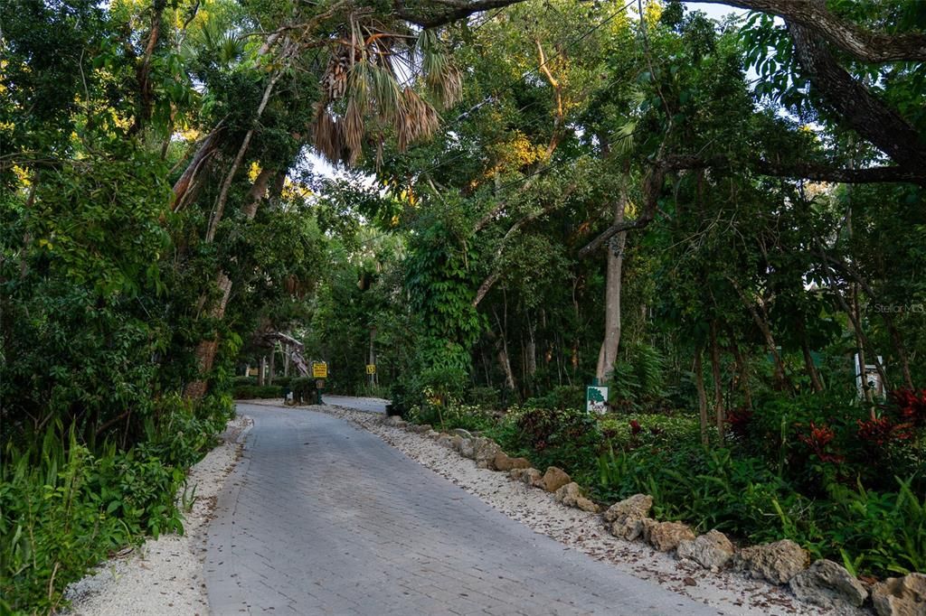 En Venta: $11,975,000 (5 camas, 5 baños, 6079 Pies cuadrados)