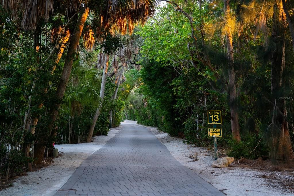 En Venta: $11,975,000 (5 camas, 5 baños, 6079 Pies cuadrados)