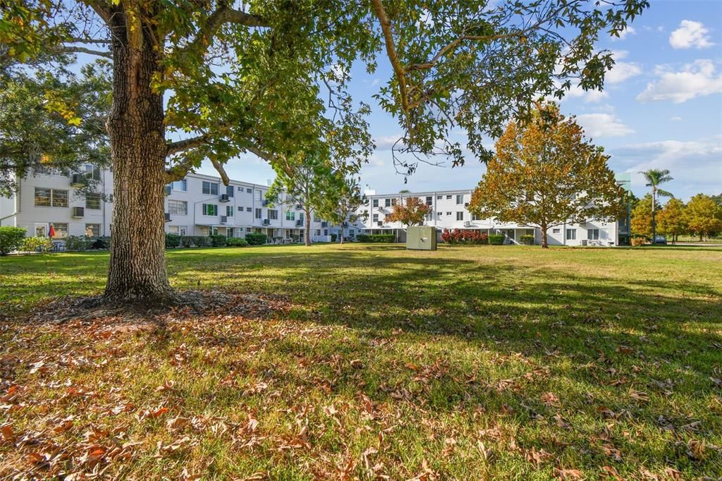 待售: $121,500 (1 贝兹, 1 浴室, 825 平方英尺)