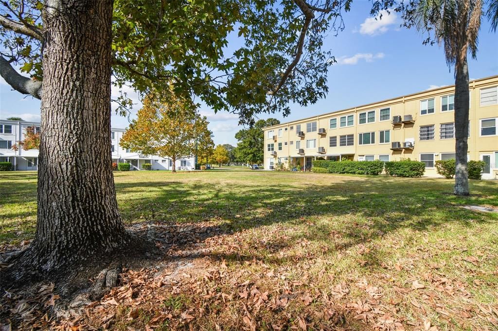 待售: $121,500 (1 贝兹, 1 浴室, 825 平方英尺)