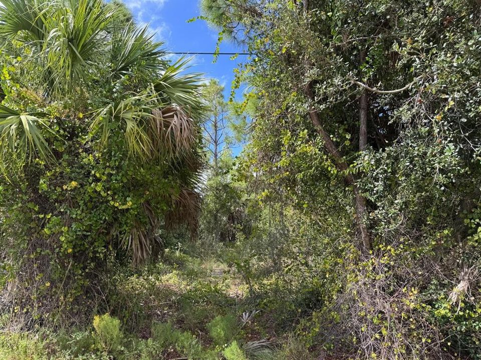 For Sale: $24,000 (0.26 acres)