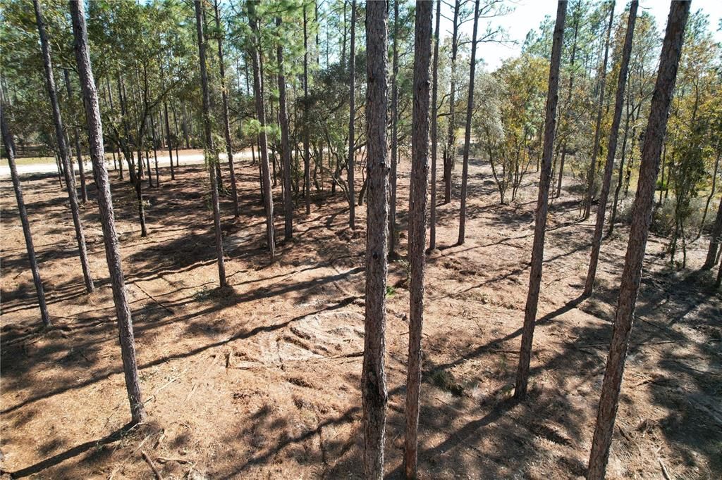 For Sale: $135,000 (9.57 acres)