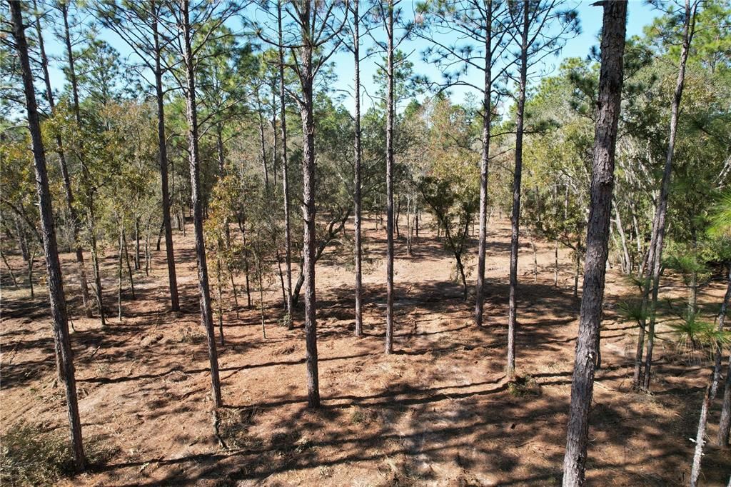 For Sale: $135,000 (9.57 acres)