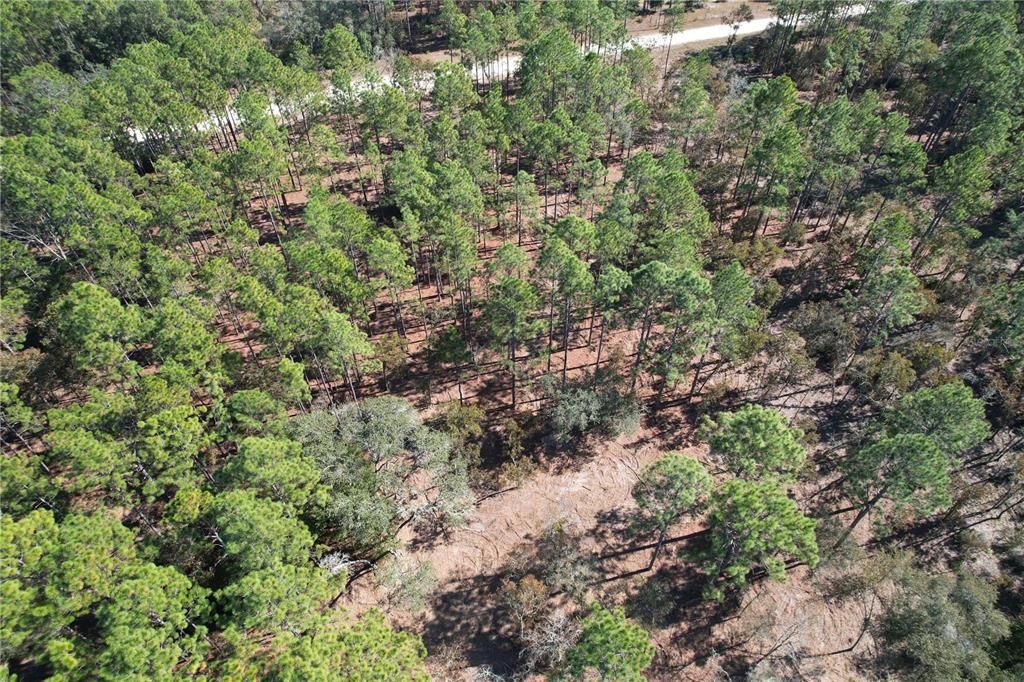 For Sale: $135,000 (9.57 acres)