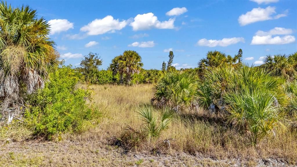 For Sale: $125,000 (0.25 acres)