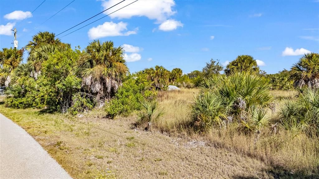 For Sale: $125,000 (0.25 acres)