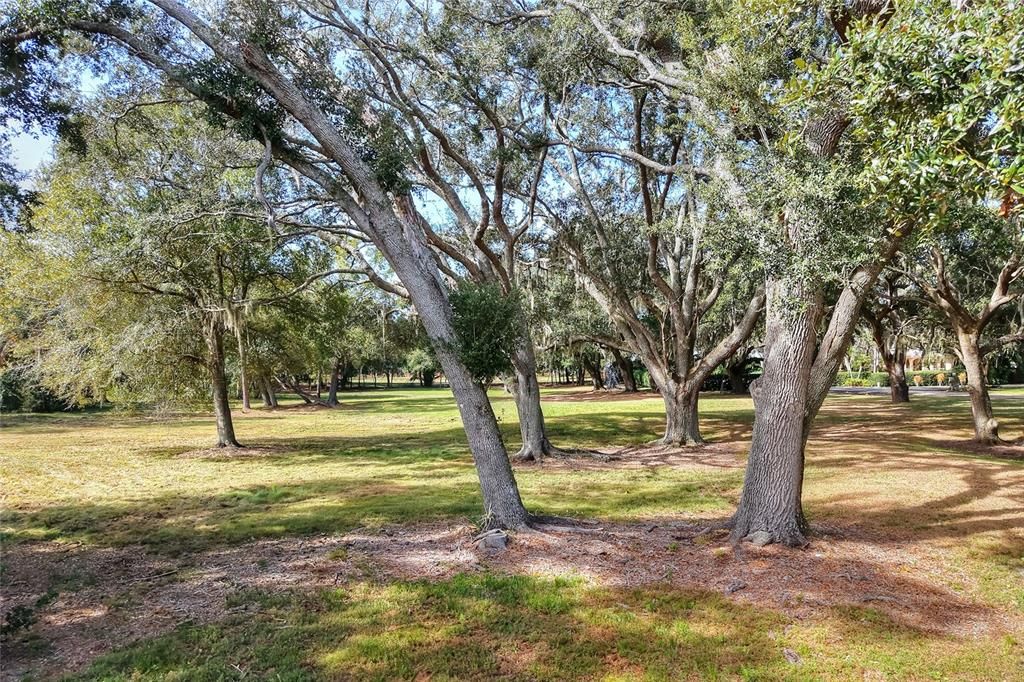 For Sale: $450,000 (No Data)