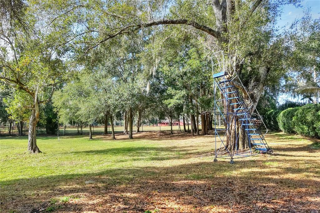 For Sale: $450,000 (No Data)