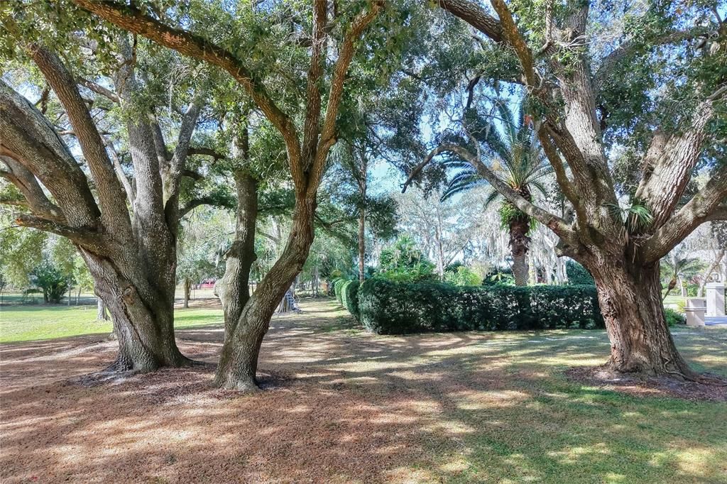 For Sale: $450,000 (No Data)