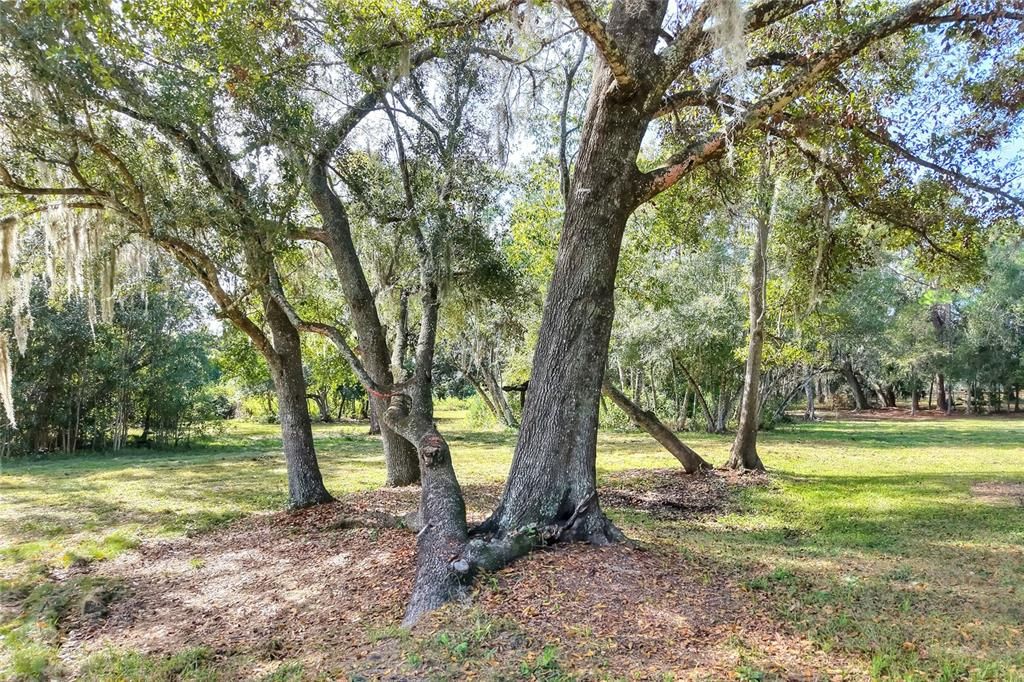 For Sale: $450,000 (No Data)