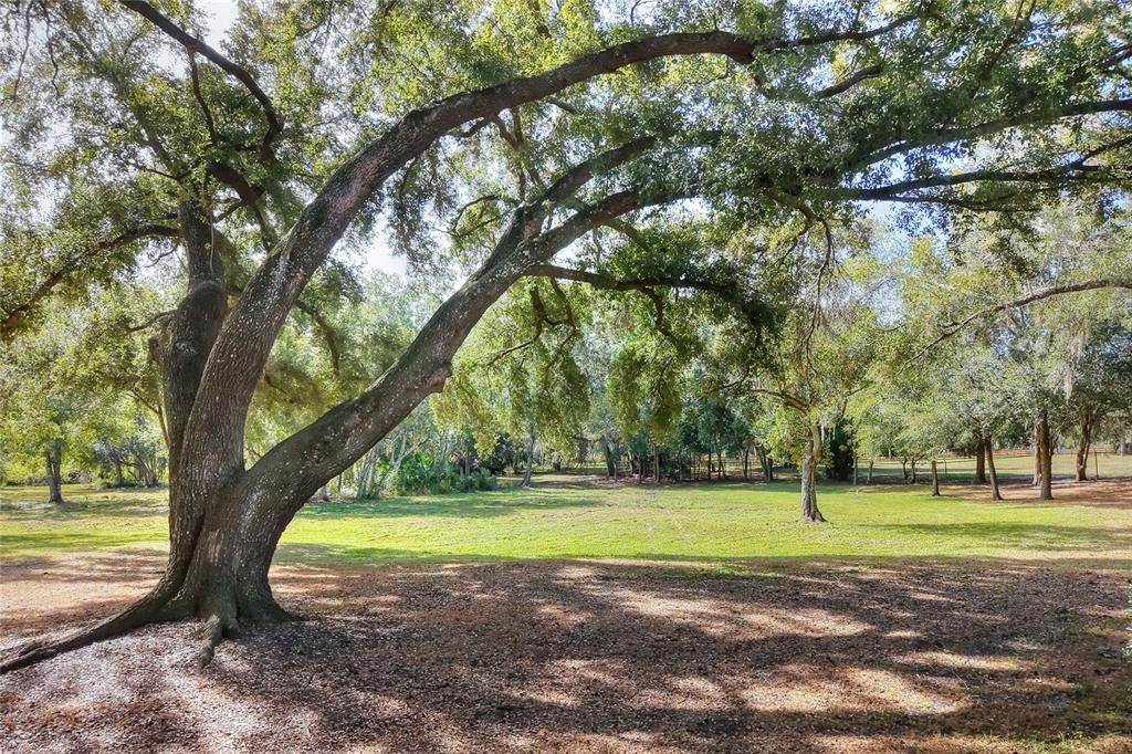 For Sale: $450,000 (No Data)