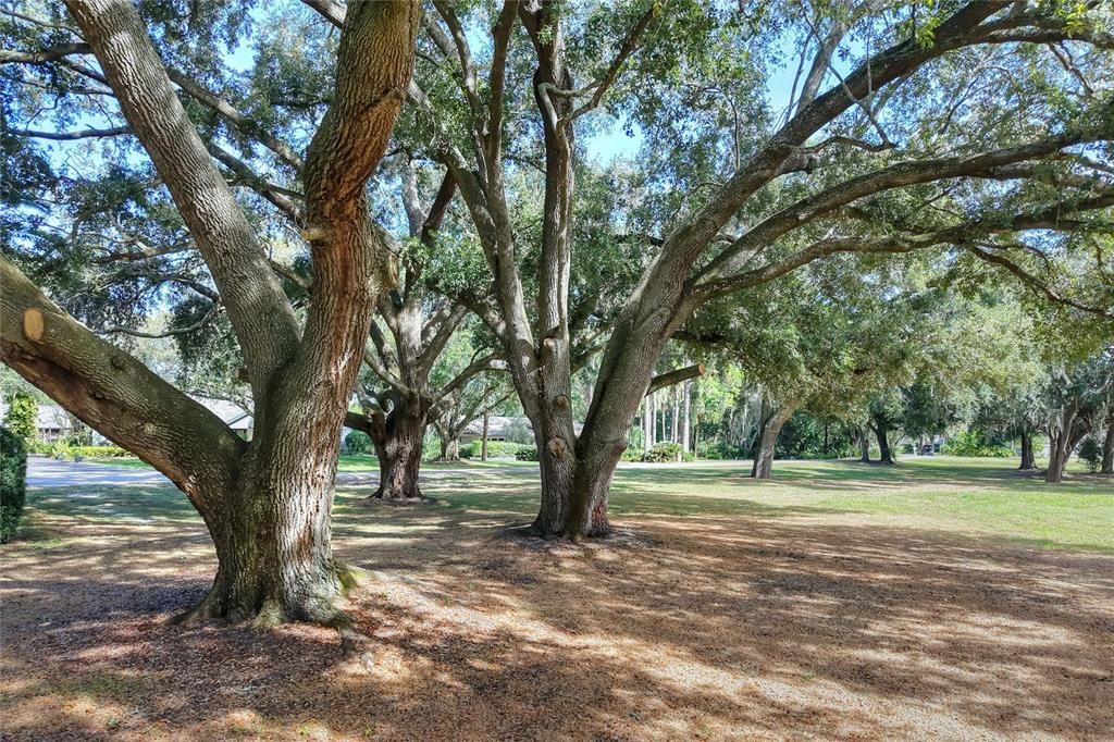 For Sale: $450,000 (No Data)