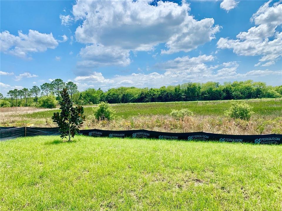 For Rent: $2,499 (4 beds, 2 baths, 2278 Square Feet)