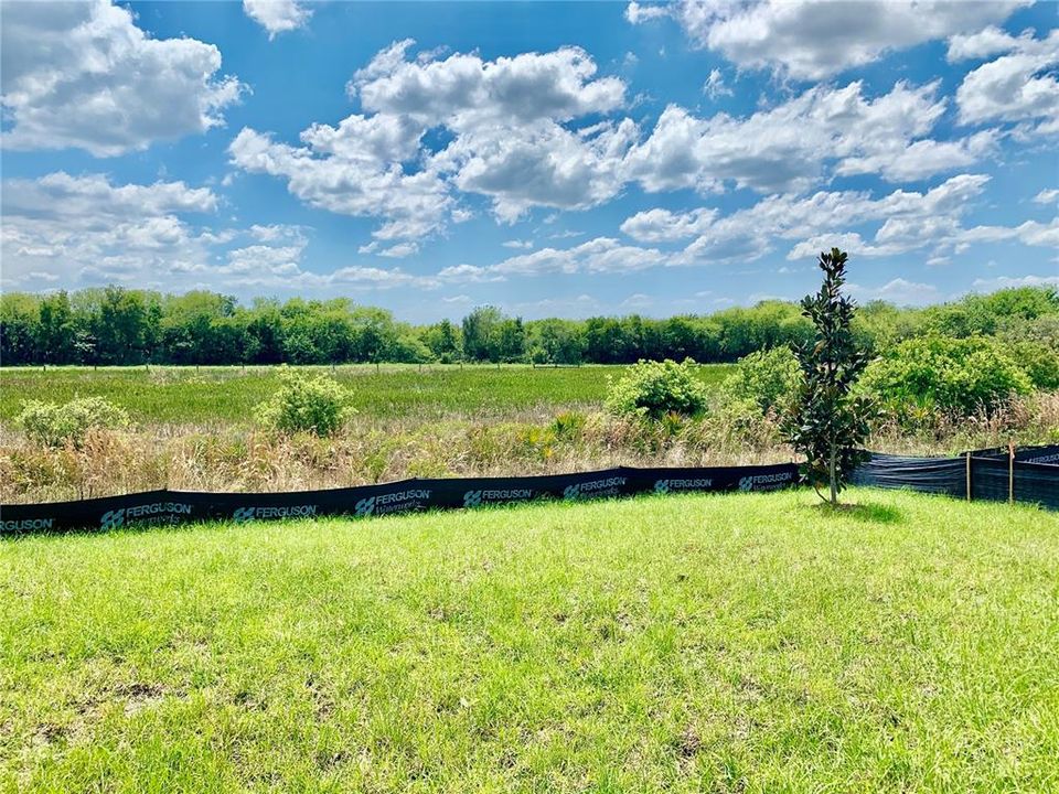 For Rent: $2,499 (4 beds, 2 baths, 2278 Square Feet)