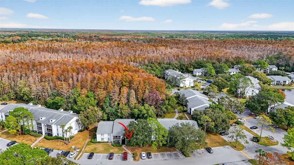 En Venta: $215,000 (2 camas, 2 baños, 1085 Pies cuadrados)