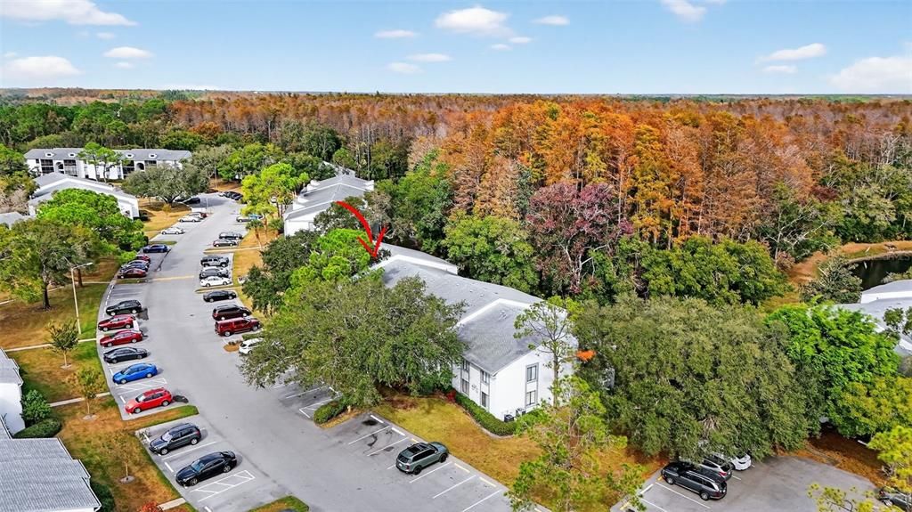 En Venta: $215,000 (2 camas, 2 baños, 1085 Pies cuadrados)