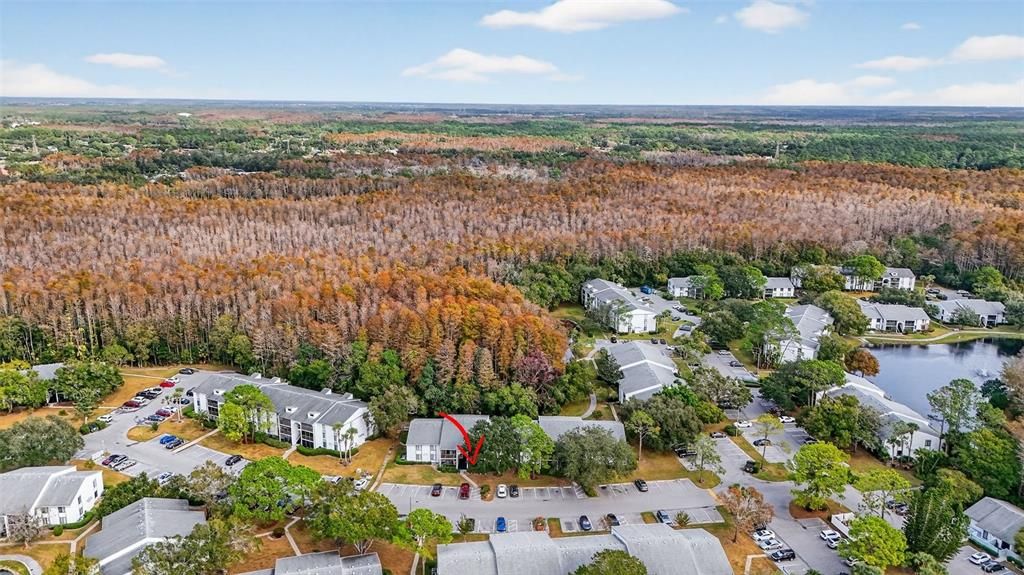 En Venta: $215,000 (2 camas, 2 baños, 1085 Pies cuadrados)