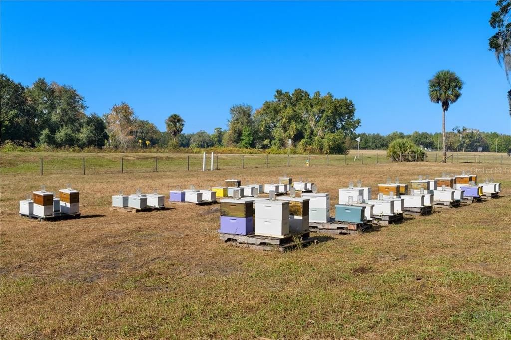 En Venta: $1,599,000 (6 camas, 5 baños, 6460 Pies cuadrados)